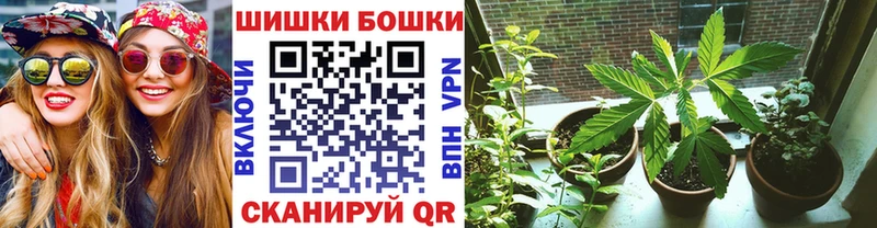 МЕГА как зайти  Ак-Довурак  Каннабис тримм 